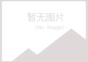 铁岭县莫爱化学有限公司